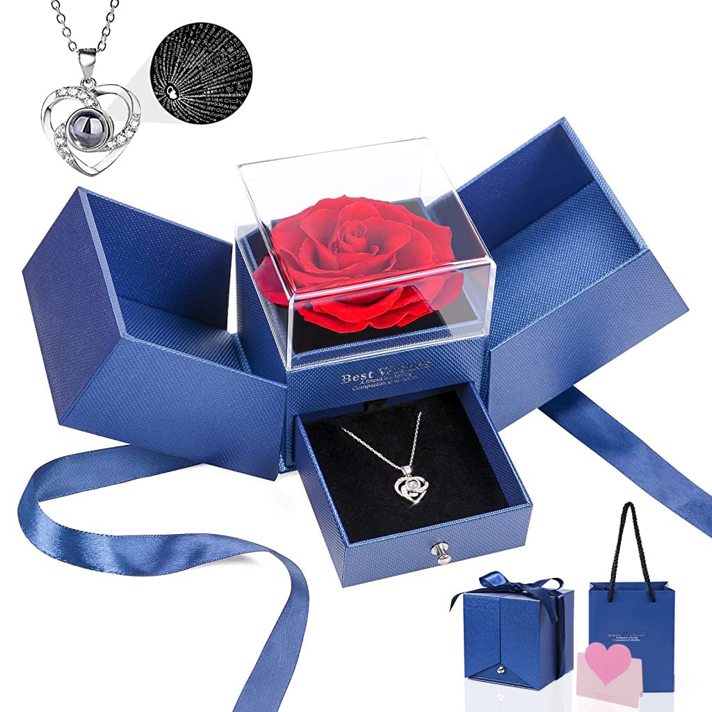 HASTHIP Eternal Rose Necklace for Women Girls Creative Preserved Rose Flower Necklace Gift for Women Creative 'I Love U' Projection Necklace Gifts for All Ladies on Birthday Christmas Valentines Day HASTHIP Eternal Rose Necklace for Women Girls Creative Preserved Rose Flower Necklace Gift for Women Creative 'I Love U' Projection Necklace Gifts for All Ladies on Birthday Christmas Valentines Day